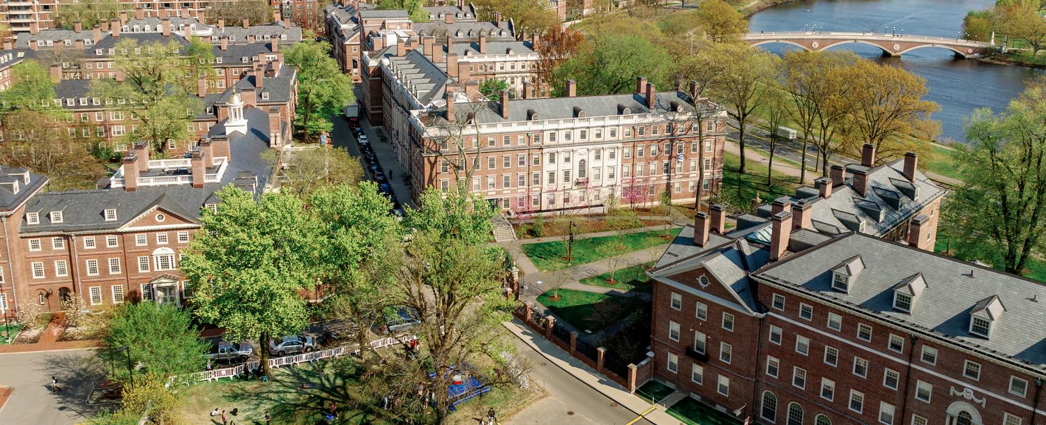harvard yard