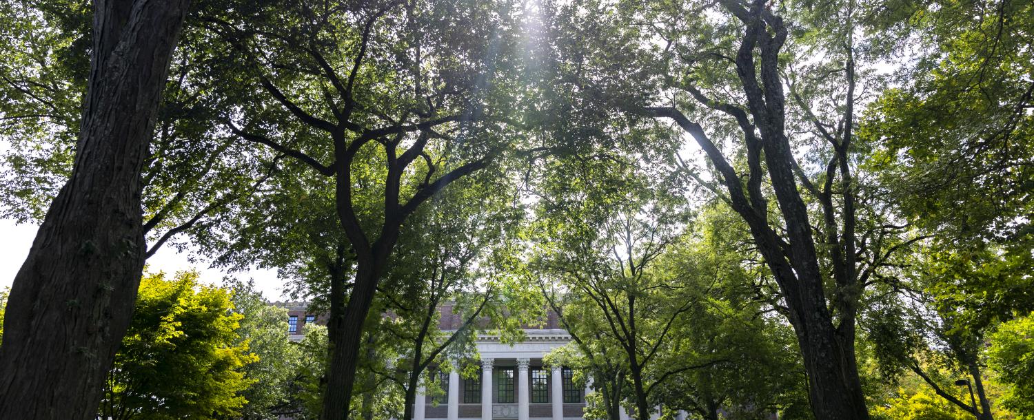 Widener Library during Fall in Harvard Yard at Harvard University.
