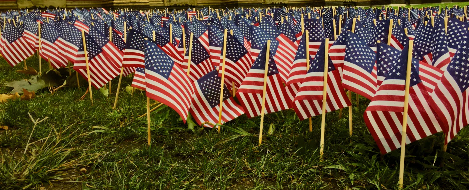 Small American Flags planted on grass