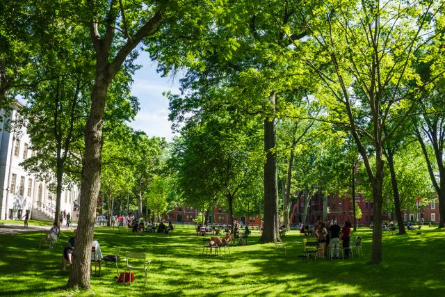 Harvard Yard in the summer