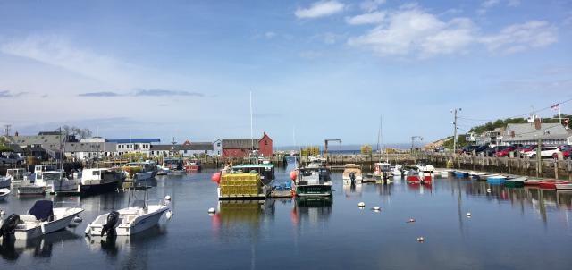 boats in harbor with red building in the distance