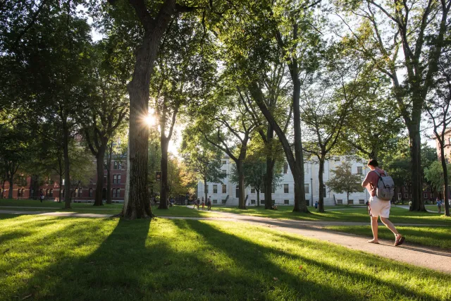 A student walks through Harvard Yard at dusk