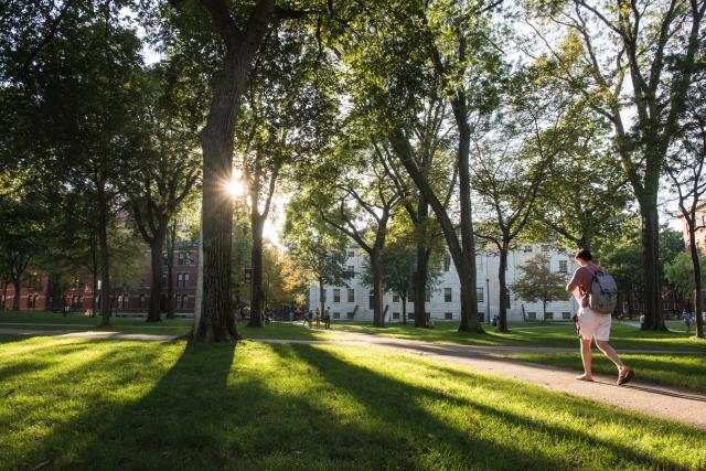 A student walks through Harvard Yard at dusk