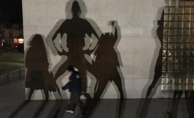 Shadows on a wall of the Carpenter Center, one of the arts buildings at Harvard