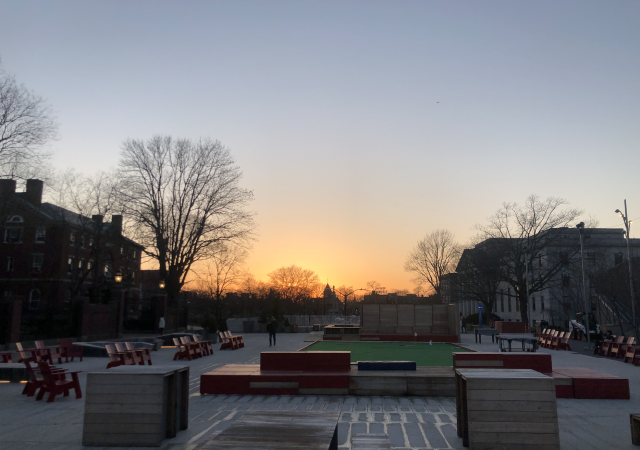 A view of the sunset and trees on campus