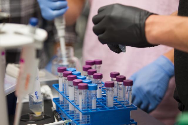 Test tubes in a laboratory