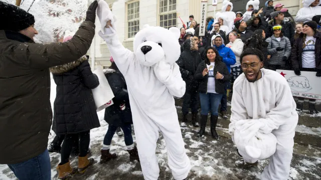 Julius Wade as Polar Bear - Housing Day (2019)