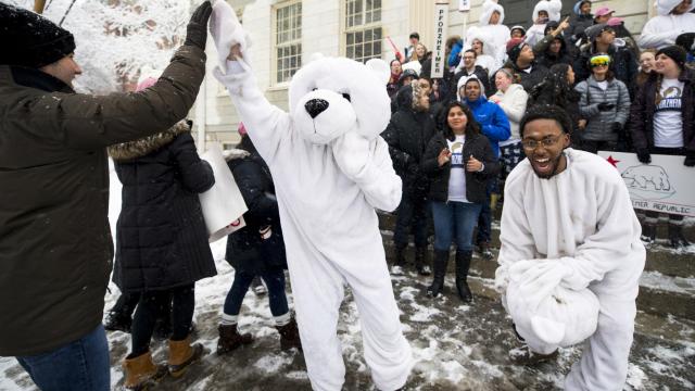 Julius Wade as Polar Bear - Housing Day (2019)