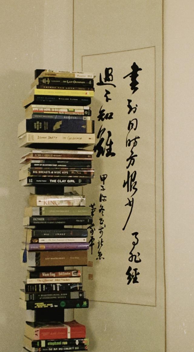  Stack of Books in Front of Painting