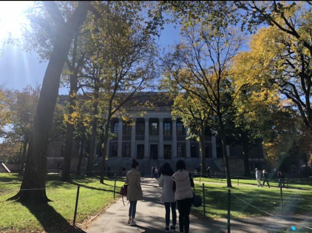 Harvard Yard