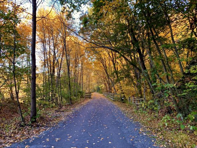 fall trail