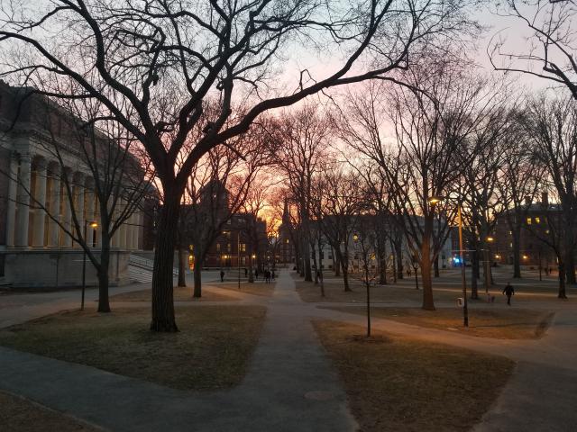 A view of Tercentenary Theatre at dusk