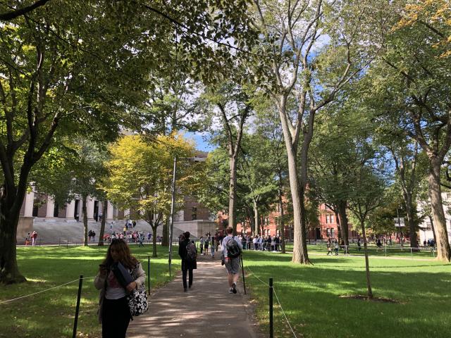 outside walking to classes on a sunny day with bright green trees and grass