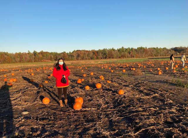 Girl in a field of pumpkins.