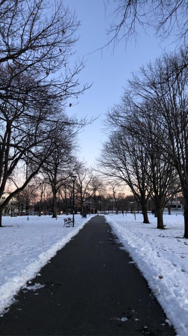 A pathway on a snowy winter day