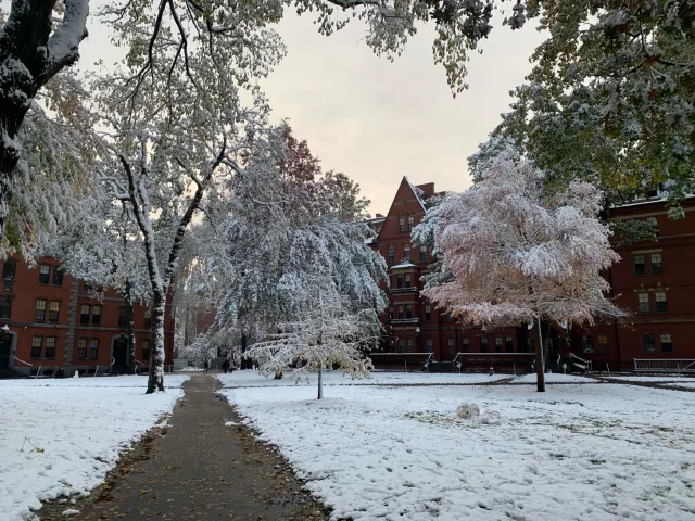 Harvard Yard covered in snow 