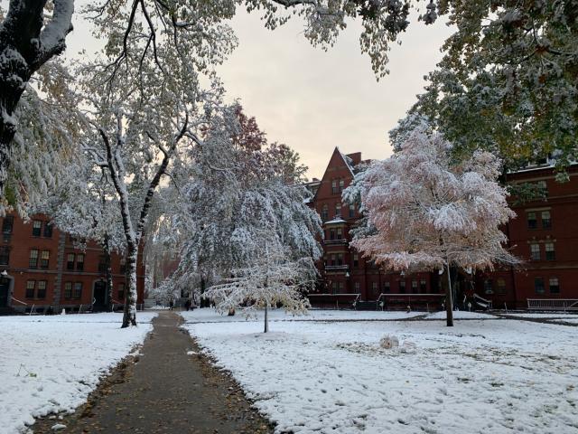 Harvard Yard covered in snow 
