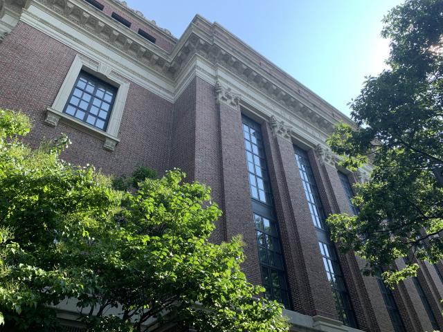 Picture of outside Widener library in the summertime