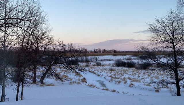 Image of a snowy field with a frozen stream at dawn. 