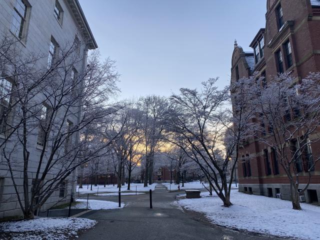 A sunrise over Harvard Yard on a winter morning, the same morning as the 2022 Housing Day.