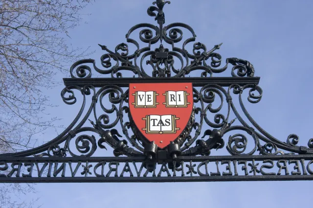 A harvard logo pinned to the top of a gate wall