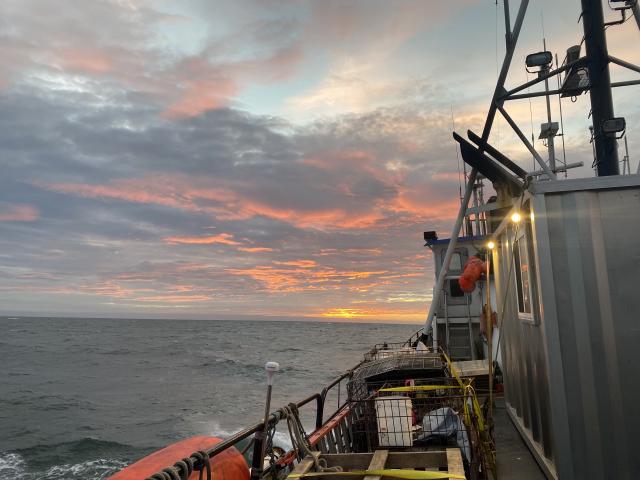 View of sunrise over the open ocean and part of the deck of the boat. 