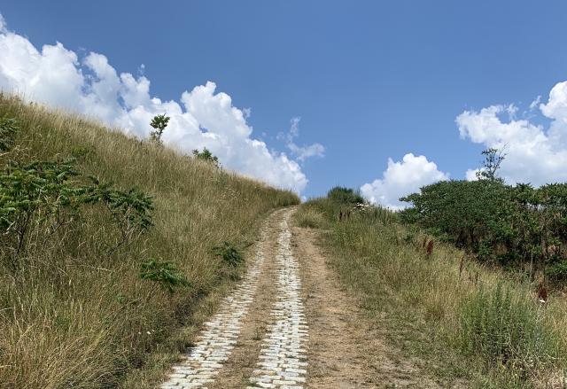 A concrete-bricked path cutting through a grassy hill under a blue sky.