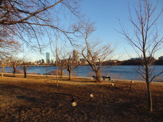 river with city in the background