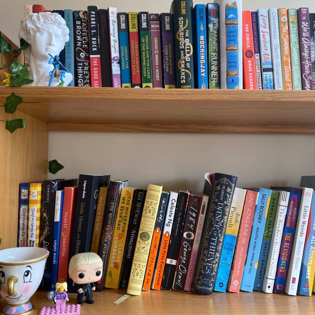 A picture of my bookshelf, featuring some figurines I have for decoration.