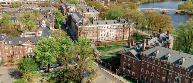 harvard yard