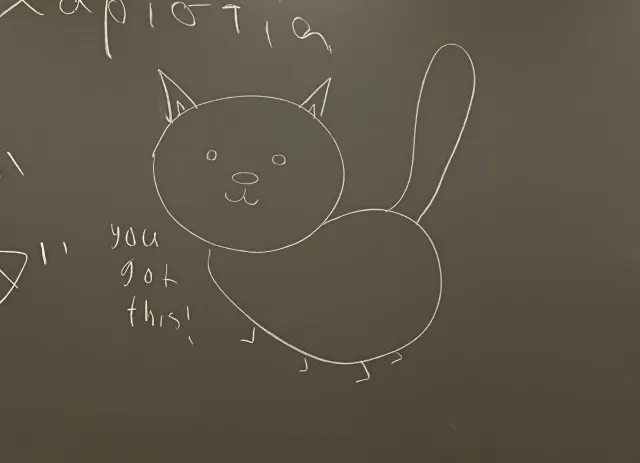 Drawing of a cat on a chalk board with the message "you got this!" written on the left