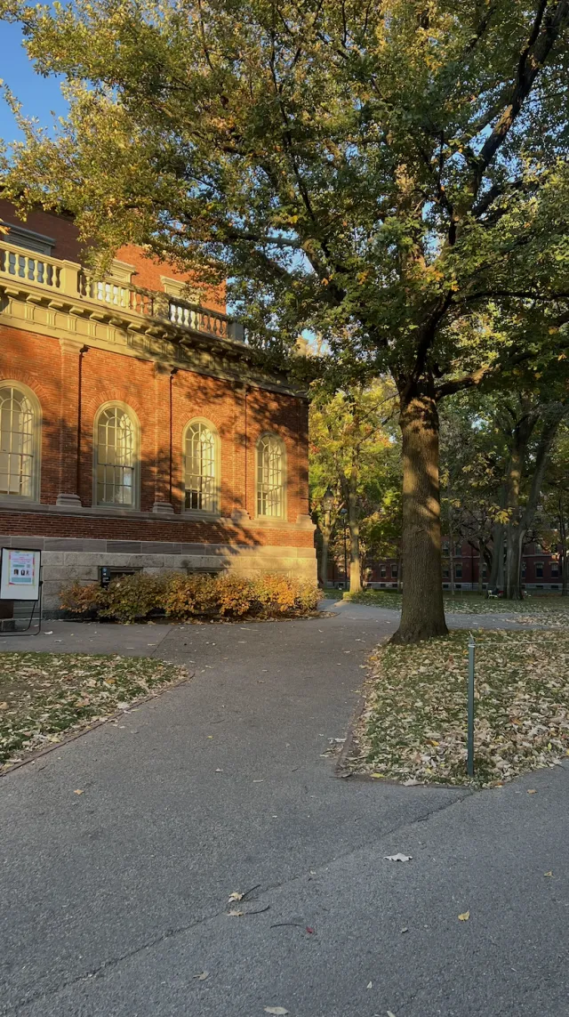 A path in Harvard's yard during the fall with green, yellow, and red leaves on the ground.