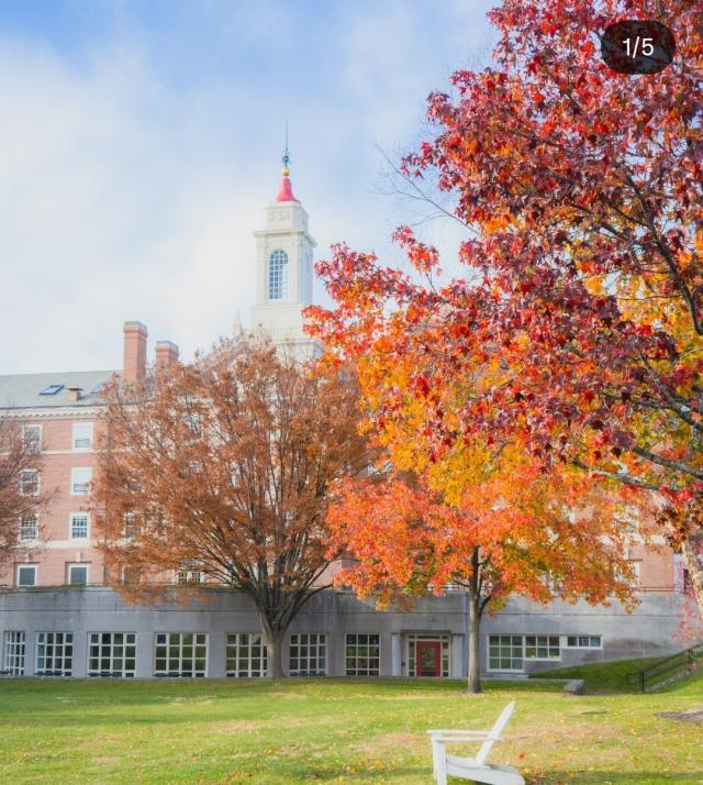 Harvard Campus on a Fall Day