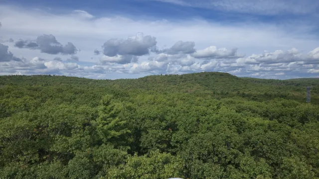 Aerial view of Harvard Forest