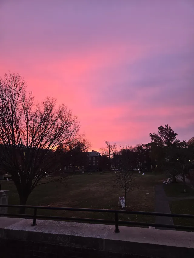 pink sunset