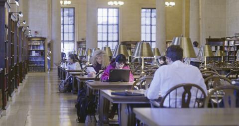 Students studying in Widener Library