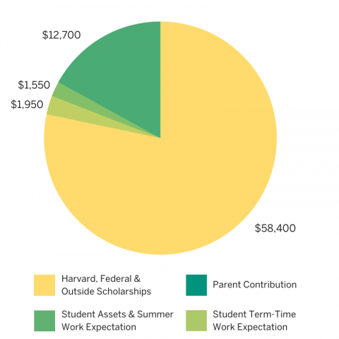 pie chart showing typical financial aid package