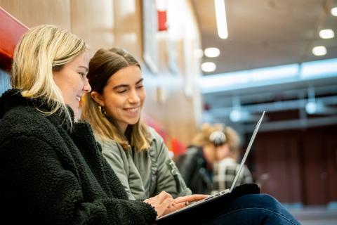 Two students sharing laptop