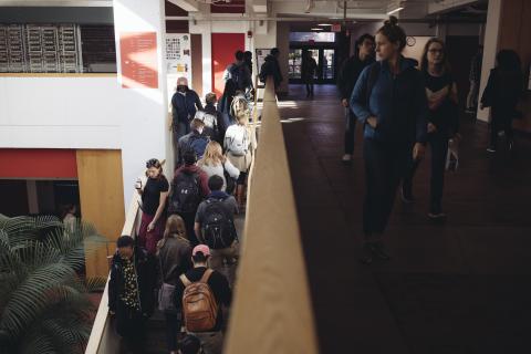 A group of students walk up the stairs to class.