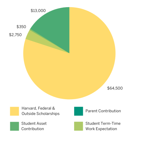 pie chart showing typical financial aid package