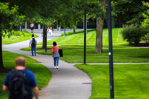 students walking through harvard yard