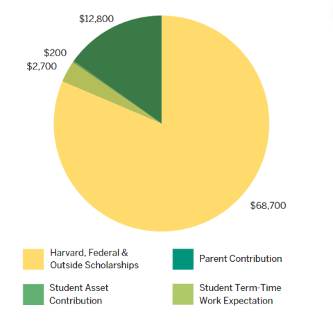 pie chart showing typical financial aid package