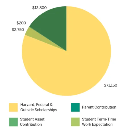 pi chart showing the typical financial aid package