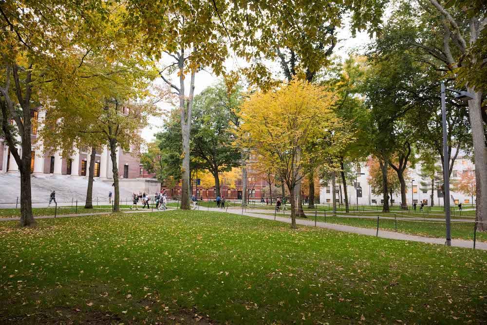 Harvard Yard trees with fall foliage
