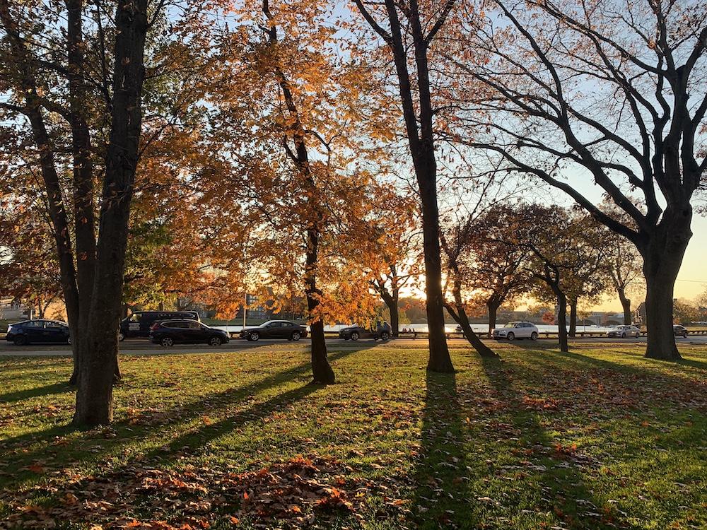 sunset over the river, peeking through trees that show fall foliage