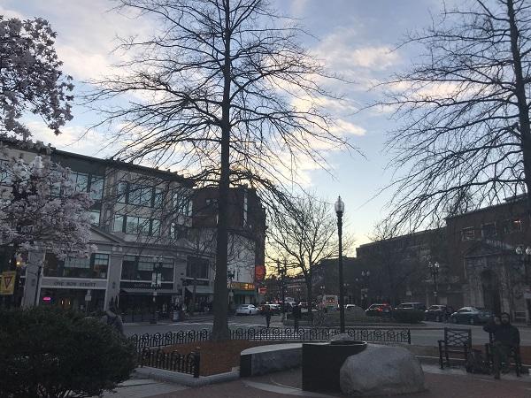 Harvard Square