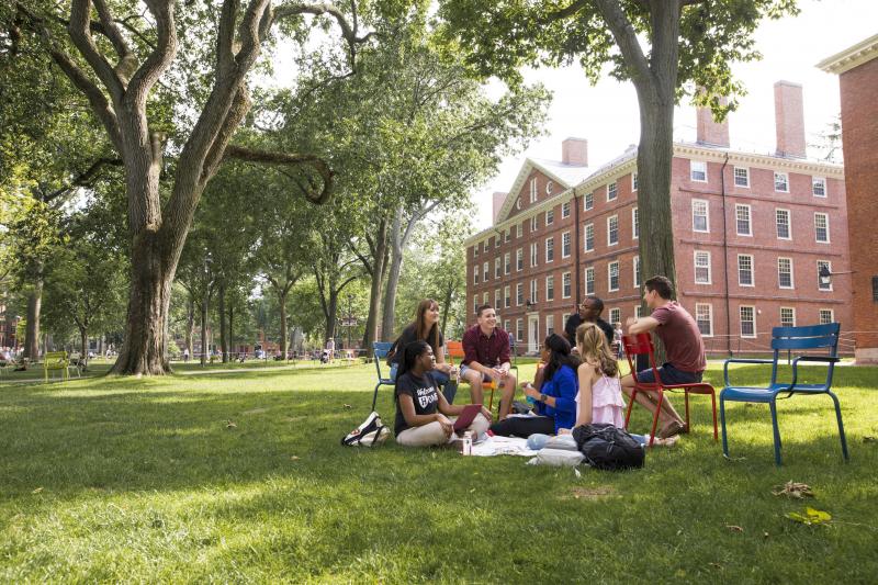 A small group of students sitting in Harvard Yard