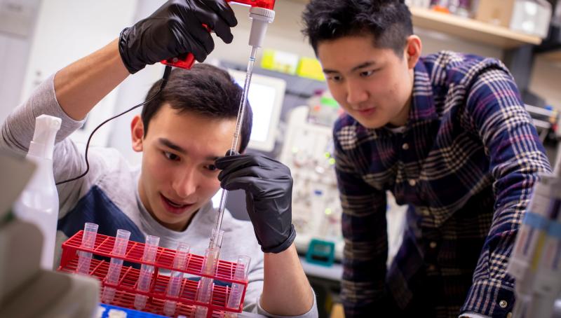 students during wintersession in the lab