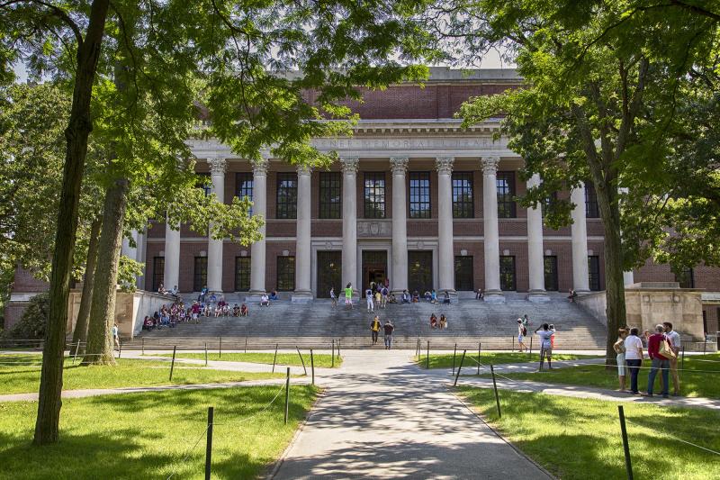 widener library