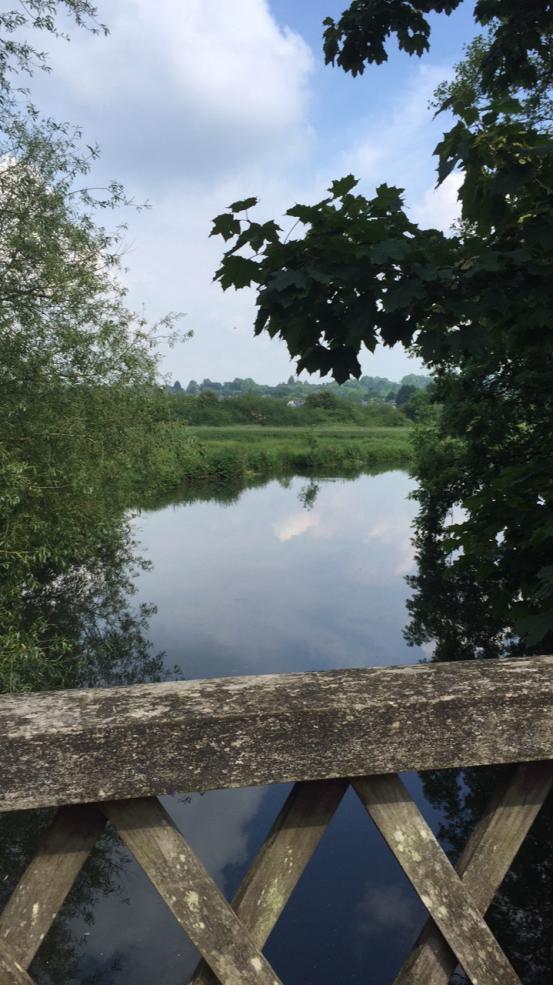 View of a stream from a bridge